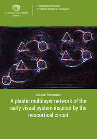 A plastic multilayer network of the early visual system inspired by the neocortical circuit