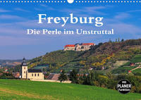 Freyburg - Die Perle im Unstruttal (Wandkalender 2022 DIN A3 quer)