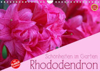 Rhododendron Schönheiten im Garten (Wandkalender 2023 DIN A4 quer)