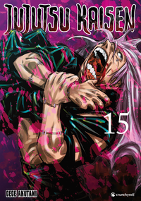 Jujutsu Kaisen – Band 15