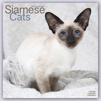 Siamese Cats - Siam-Katzen 2023 - 16-Monatskalender