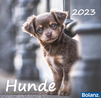 Hunde 2023