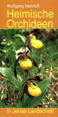 Heimische Orchideen in Jenas Landschaft