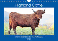 Highland Cattle, die Hochlandrinder aus Pfeffingen (Wandkalender 2023 DIN A4 quer)