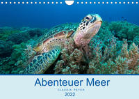 Abenteuer Unterwasser (Wandkalender 2022 DIN A4 quer)