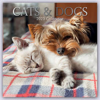 Cats & Dogs – Katzen & Hunde 2023 – 16-Monatskalender