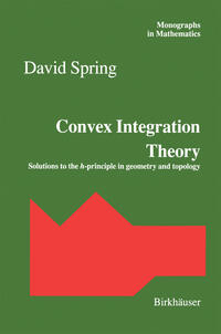 Convex Integration Theory