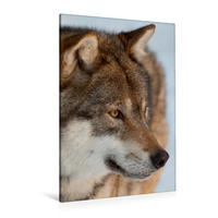 Premium Textil-Leinwand 80 x 120 cm Hoch-Format Emotionale Momente: Der Wolf. | Wandbild, HD-Bild auf Keilrahmen, Fertigbild auf hochwertigem Vlies, Leinwanddruck von Ingo Gerlach