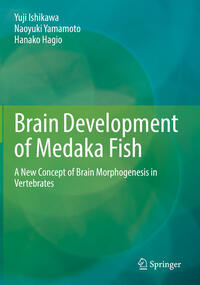 Brain Development of Medaka Fish