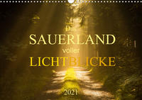 Das Sauerland voller Lichtblicke (Wandkalender 2021 DIN A3 quer)