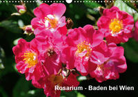 Baden bei Wien - Rosarium (Wandkalender 2020 DIN A3 quer)