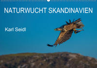 Naturwucht Skandinavien (Wandkalender 2021 DIN A2 quer)