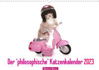 Der "philosophische" Katzenkalender 2023 (Wandkalender 2023 DIN A3 quer)