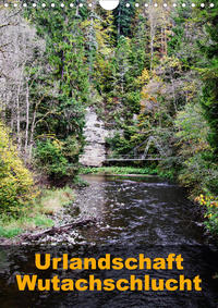 Urlandschaft Wutachschlucht (Wandkalender 2020 DIN A4 hoch)