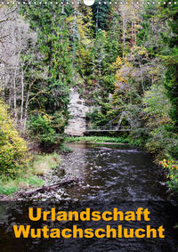 Urlandschaft Wutachschlucht (Wandkalender 2020 DIN A3 hoch)