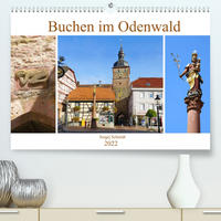 Buchen im Odenwald (Premium, hochwertiger DIN A2 Wandkalender 2022, Kunstdruck in Hochglanz)