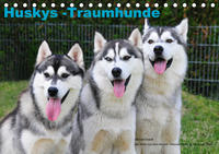 Huskys - Traumhunde (Tischkalender 2021 DIN A5 quer)