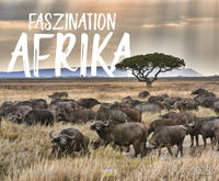 Faszination Afrika 2023