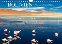 Bolivien - Natur und Kultur im Altiplano (Wandkalender 2023 DIN A4 quer)