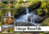 Triberger Wasserfälle (Wandkalender 2021 DIN A4 quer)