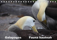 Galapagos. Fauna hautnah (Tischkalender 2022 DIN A5 quer)