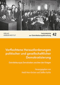 Verflochtene Herausforderungen politischer und gesellschaftlicher Demokratisierung