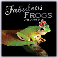 Fabulous Frogs – Fabelhafte Frösche 2023 – 16-Monatskalender