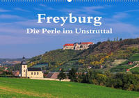 Freyburg - Die Perle im Unstruttal (Wandkalender 2023 DIN A2 quer)