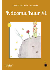 Ndoomu Buur Si