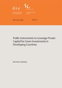 Public instruments to leverage private capital for green investments in developing countries