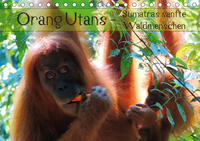 Orang Utans - Sumatras sanfte Waldmenschen (Tischkalender 2020 DIN A5 quer)