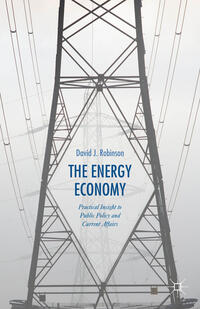 The Energy Economy