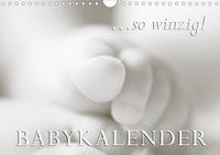 ...so winzig - Babykalender (Wandkalender 2020 DIN A4 quer)