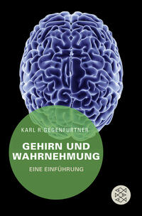 Gehirn und Wahrnehmung