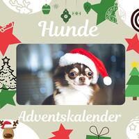 Hunde