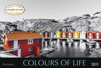 Colours of Life 2023