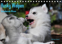 Husky Welpen (Tischkalender 2020 DIN A5 quer)