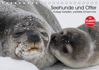 Seehunde und Otter. Putzige Gesellen, perfekte Schwimmer (Tischkalender 2023 DIN A5 quer)