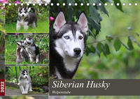 Siberian Husky - Welpenstube (Tischkalender 2022 DIN A5 quer)