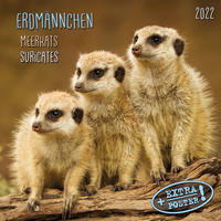 Meerkats/Erdmännchen 2022