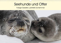 Seehunde und Otter. Putzige Gesellen, perfekte Schwimmer (Wandkalender 2023 DIN A3 quer)