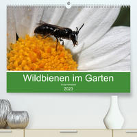 Wildbienen im Garten (Premium, hochwertiger DIN A2 Wandkalender 2023, Kunstdruck in Hochglanz)