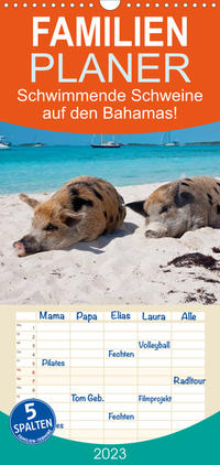 Familienplaner Schwimmende Schweine auf den Bahamas! (Wandkalender 2023 , 21 cm x 45 cm, hoch)