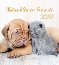 Meine kleinen Freunde 2023