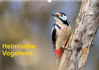 Heimische Vogelwelt (Wandkalender 2022 DIN A3 quer)