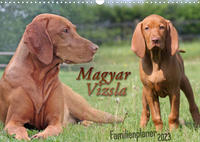 Familienplaner - Magyar Vizsla (Wandkalender 2023 DIN A3 quer)