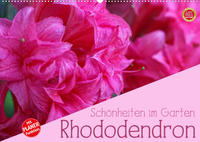 Rhododendron Schönheiten im Garten (Wandkalender 2023 DIN A2 quer)