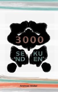 3000 Sekunden