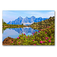 Premium Textil-Leinwand 90 x 60 cm Quer-Format Almrauschblüte am Spiegelsee auf der Reiteralm | Wandbild, HD-Bild auf Keilrahmen, Fertigbild auf hochwertigem Vlies, Leinwanddruck von Christa Kramer