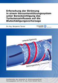 Erforschung der Strömung in einem Herzunterstützungssystem unter Berücksichtigung des Turbulenzeinflusses auf die Blutschädigungsvorhersage